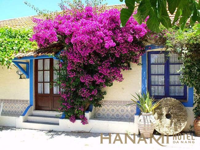Check-in Hoi An - The top 15 iconic locations you should know 10 Check-in Hội An