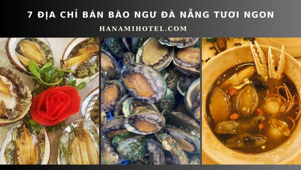 ban bao ngu da nang