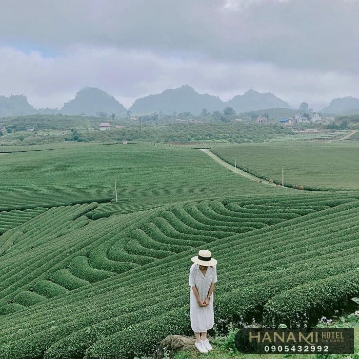 30/4 1/5 đi đâu tại Đà Nẵng? Top 10 tọa độ vui chơi hot nhất dịp lễ năm 2023 này 10 30/4 - 1/5 đi đâu tại Đà Nẵng?