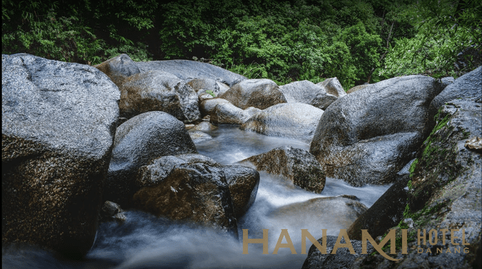 ngam doi 4 1637460003 1