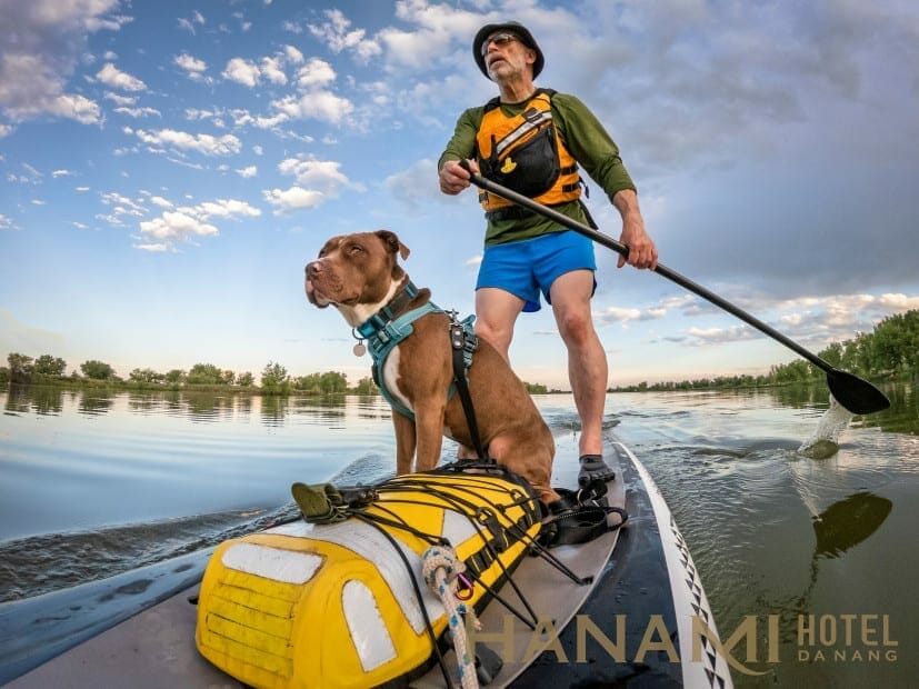 paddleboard water safety tips dry bag via magazine shutterstock 1445191607