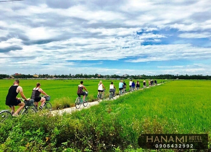 rung dua bay mau 8 1627641695 1