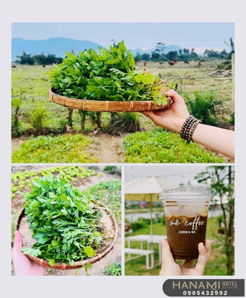 Làng Mê Đà Nẵng