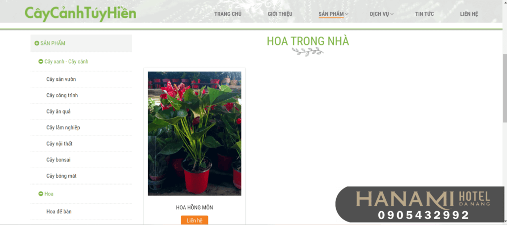 Choáng váng với Top 7 cửa hàng bán cây cảnh để bàn tại Đà Nẵng chất lượng 2 cửa hàng bán cây cảnh để bàn tại Đà Nẵng