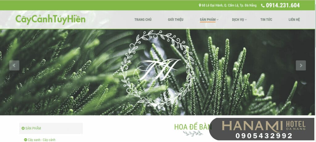 cây mini để bàn tại Đà Nẵng