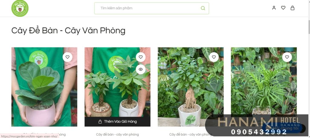 cây mini để bàn tại Đà Nẵng