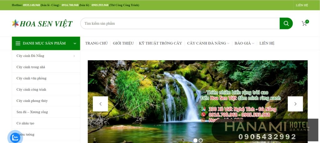 cây mini để bàn tại Đà Nẵng