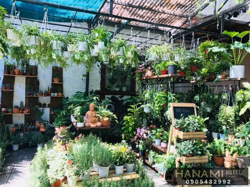 cửa hàng bán cây cảnh để bàn tại Đà Nẵng