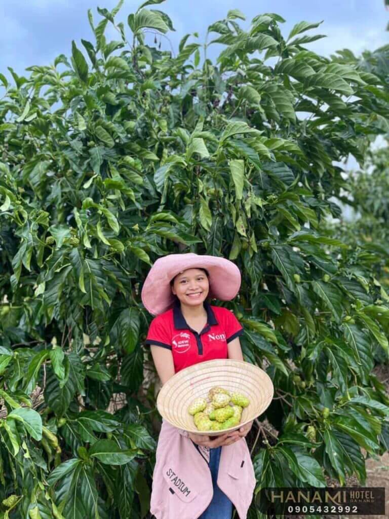 cửa hàng rau sạch Đà Nẵng