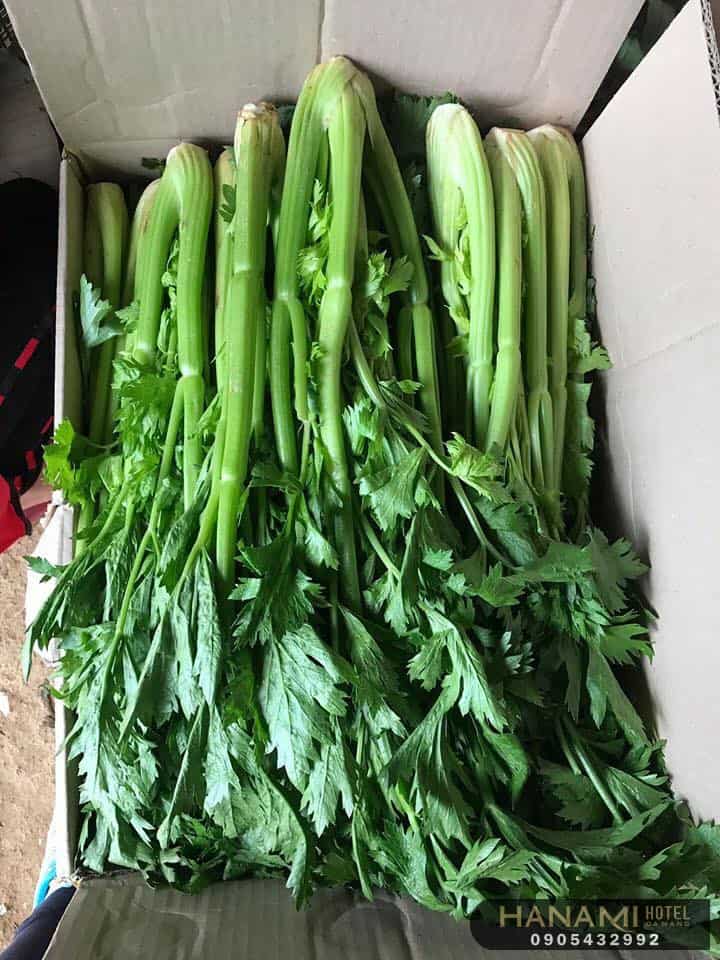 cửa hàng rau sạch Đà Nẵng