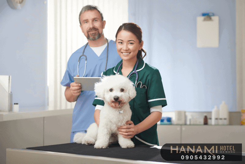 Tiêu chí lựa chọn phòng khám thú y Đà Nẵng uy tín và chất lượng nhất 7 Tiêu chí lựa chọn phòng khám thú y Đà Nẵng