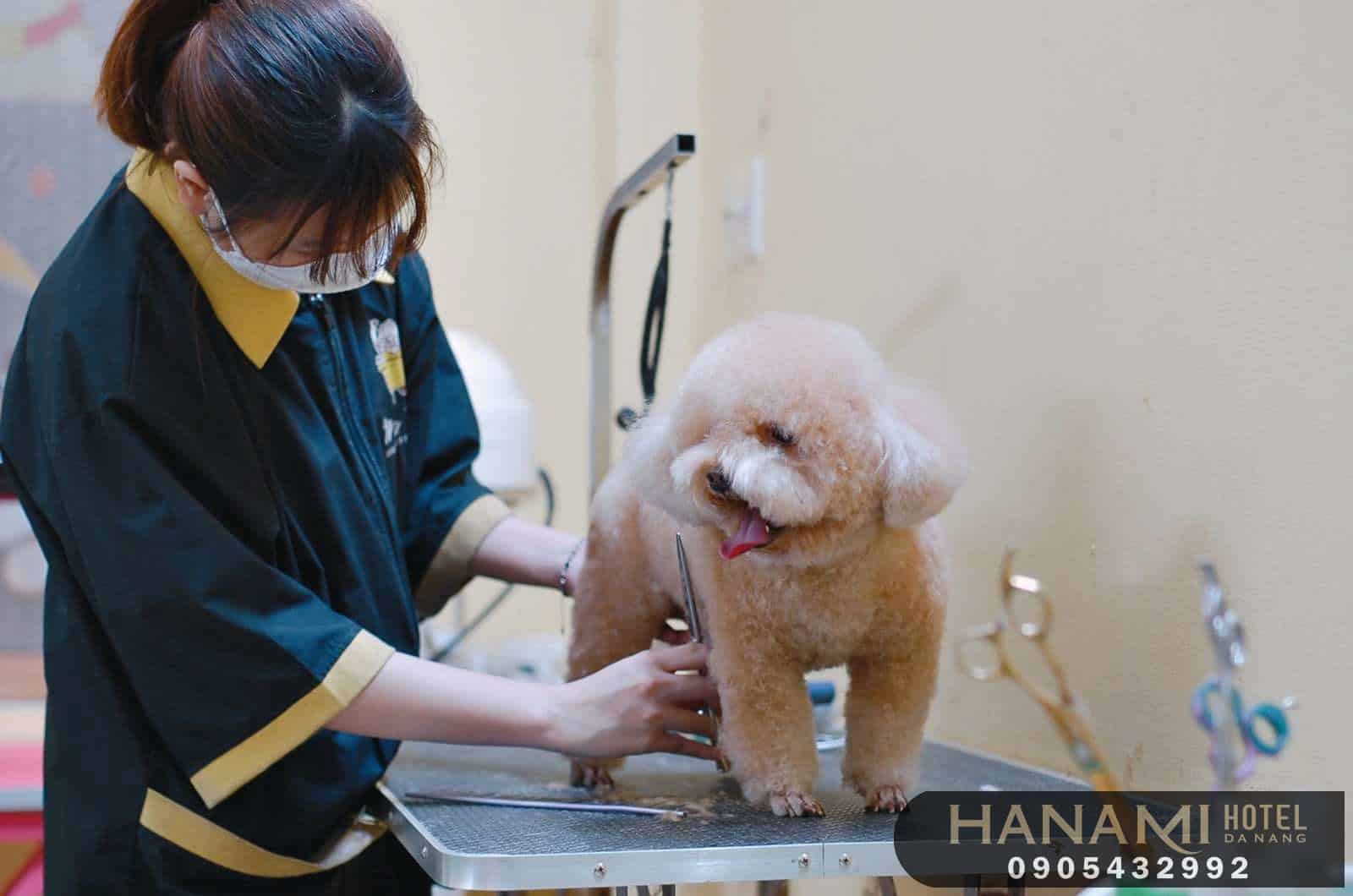 Tiêu chí lựa chọn phòng khám thú y Đà Nẵng uy tín và chất lượng nhất 6 Tiêu chí lựa chọn phòng khám thú y Đà Nẵng