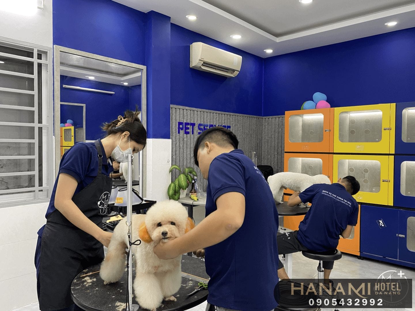 Tiêu chí lựa chọn phòng khám thú y Đà Nẵng uy tín và chất lượng nhất 5 Tiêu chí lựa chọn phòng khám thú y Đà Nẵng