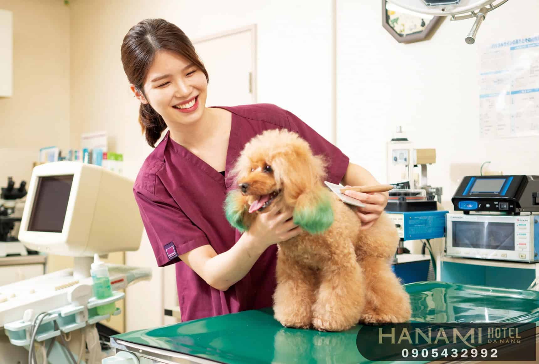 Tiêu chí lựa chọn phòng khám thú y Đà Nẵng uy tín và chất lượng nhất 2 Tiêu chí lựa chọn phòng khám thú y Đà Nẵng