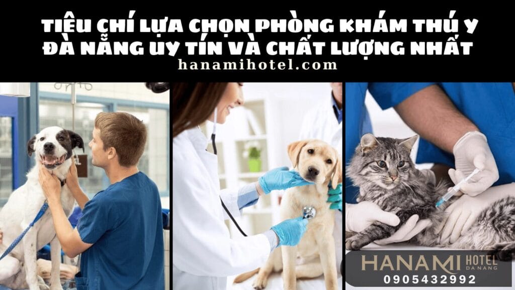 Tiêu chí lựa chọn phòng khám thú y Đà Nẵng