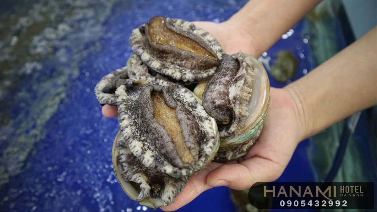 Bỏ túi 6 địa chỉ bán bào ngư Đà Nẵng uy tín, chất lượng