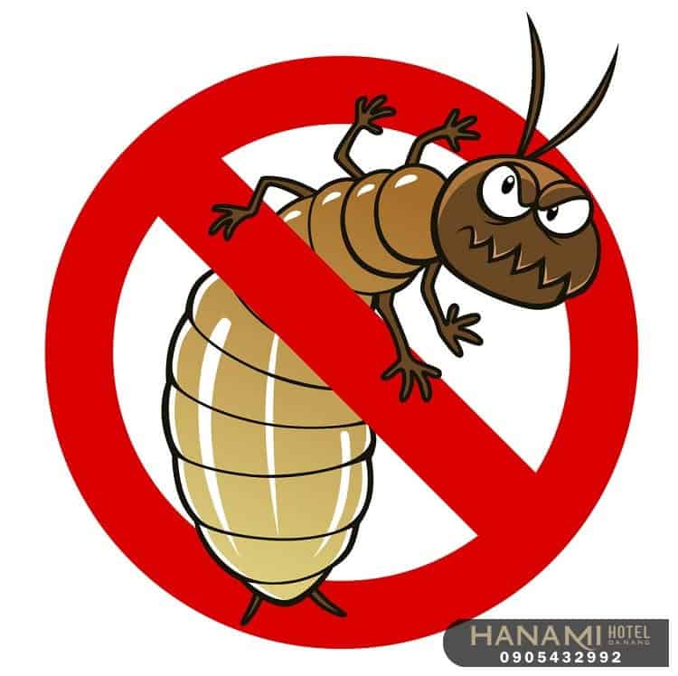 cong ty diet moi 4 1