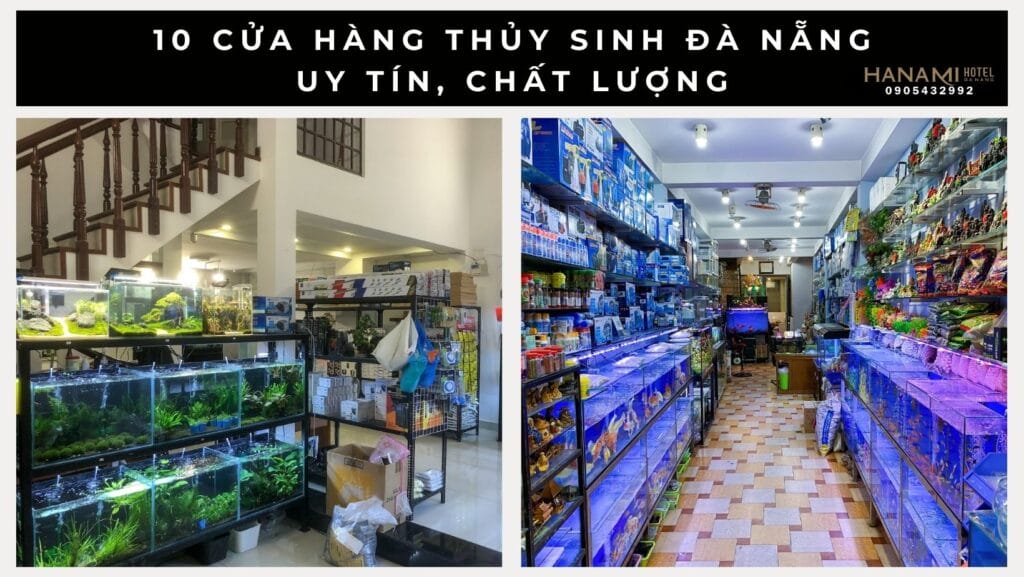 cửa hàng thủy sinh đà nẵng