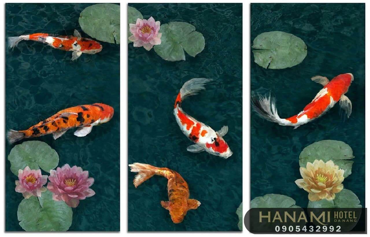 10 địa chỉ mua cá Koi F1 tại Đà Nẵng 9 địa chỉ mua cá Koi F1 tại Đà Nẵng