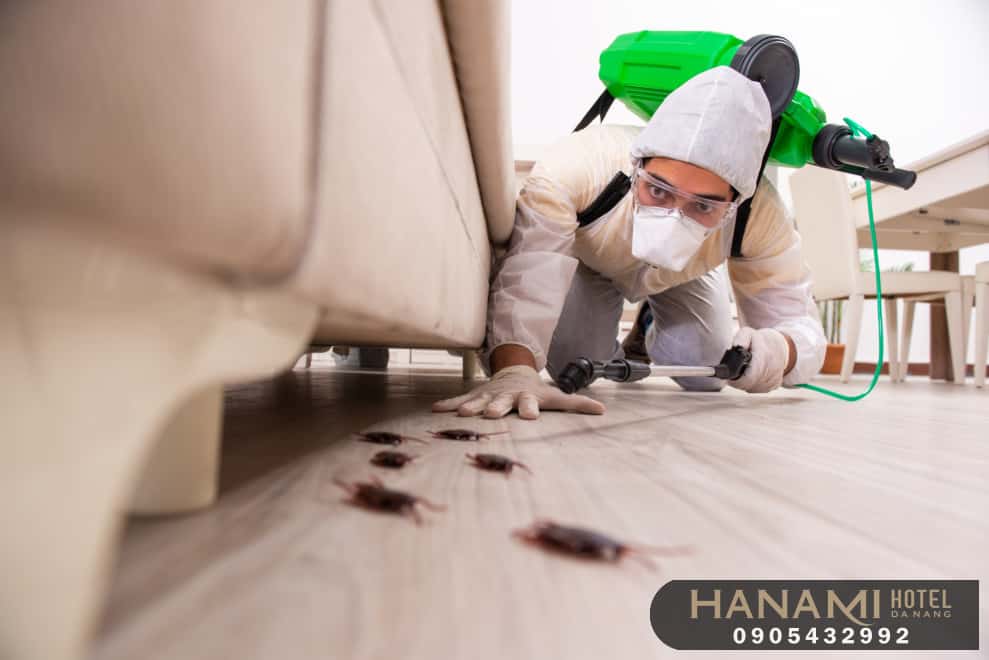 Công ty diệt công trùng, diệt mối tại Đà Nẵng