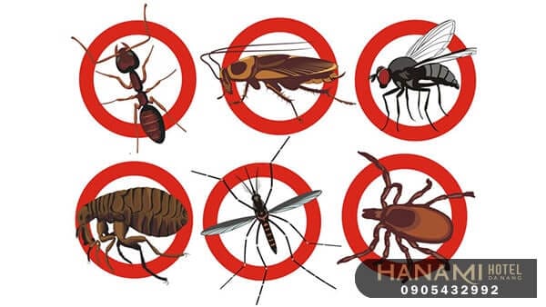 Công ty diệt công trùng, diệt mối tại Đà Nẵng