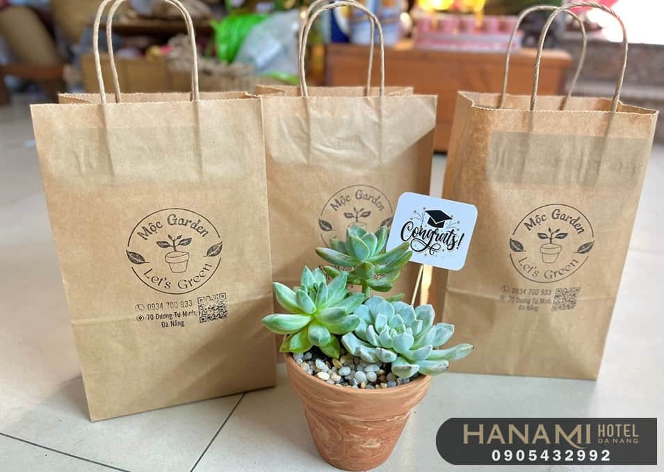 10 địa chỉ bán sen đá Đà Nẵng đẹp, chất lượng nhất 7 địa chỉ bán sen đá Đà Nẵng