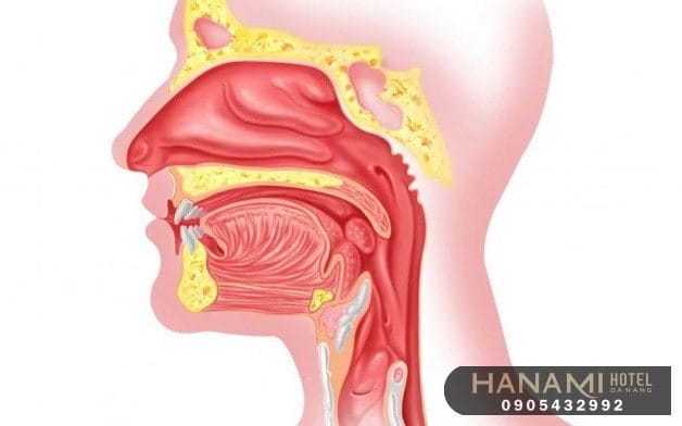 15 phòng khám tai mũi họng uy tín tại Đà Nẵng 10 tai mui hong 2 1