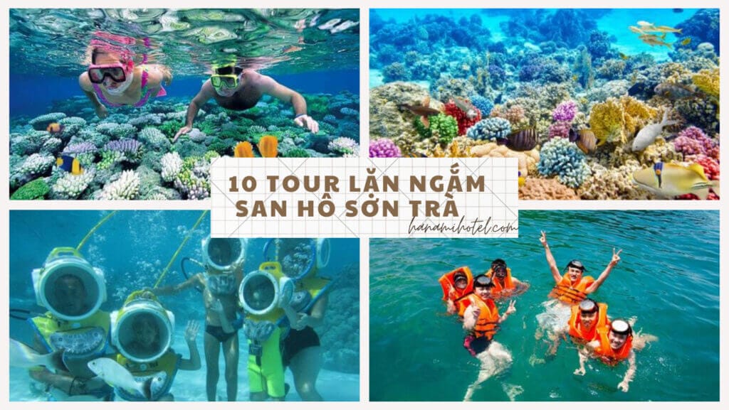 tour lặn ngắm san hô Sơn Trà