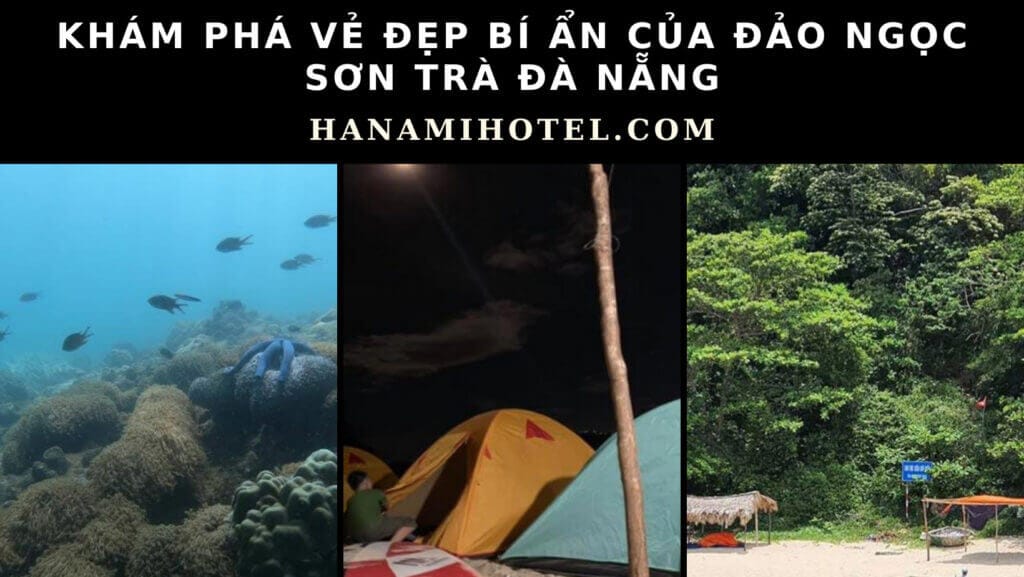 Đảo Ngọc Sơn Trà Đà Nẵng