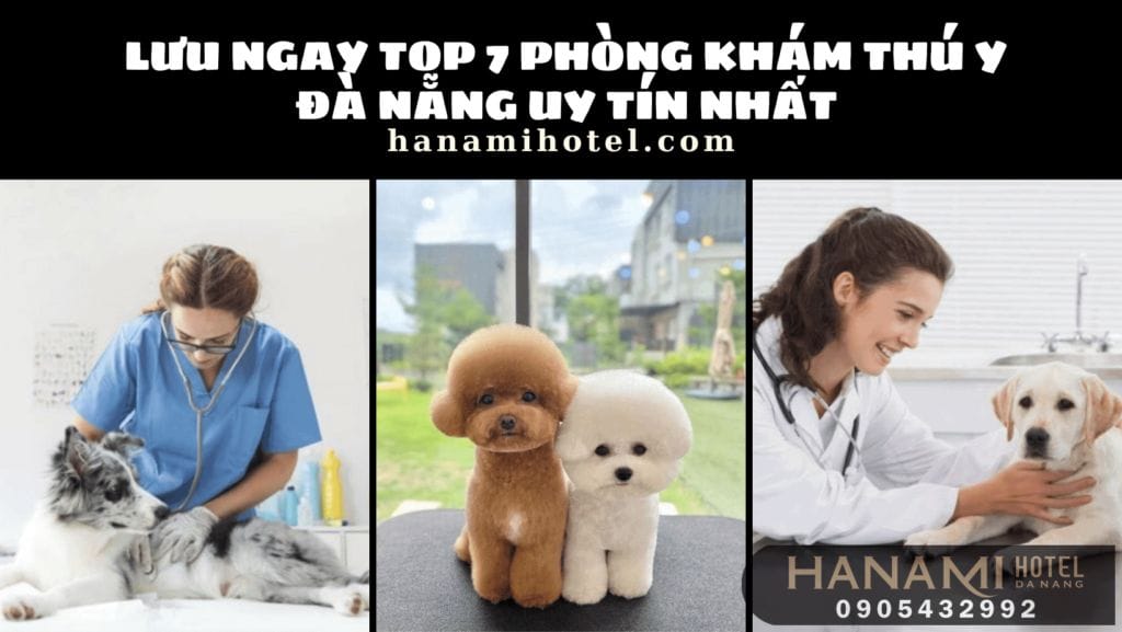 phòng khám thú y Đà Nẵng