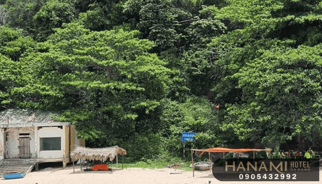 Đảo Ngọc Sơn Trà Đà Nẵng