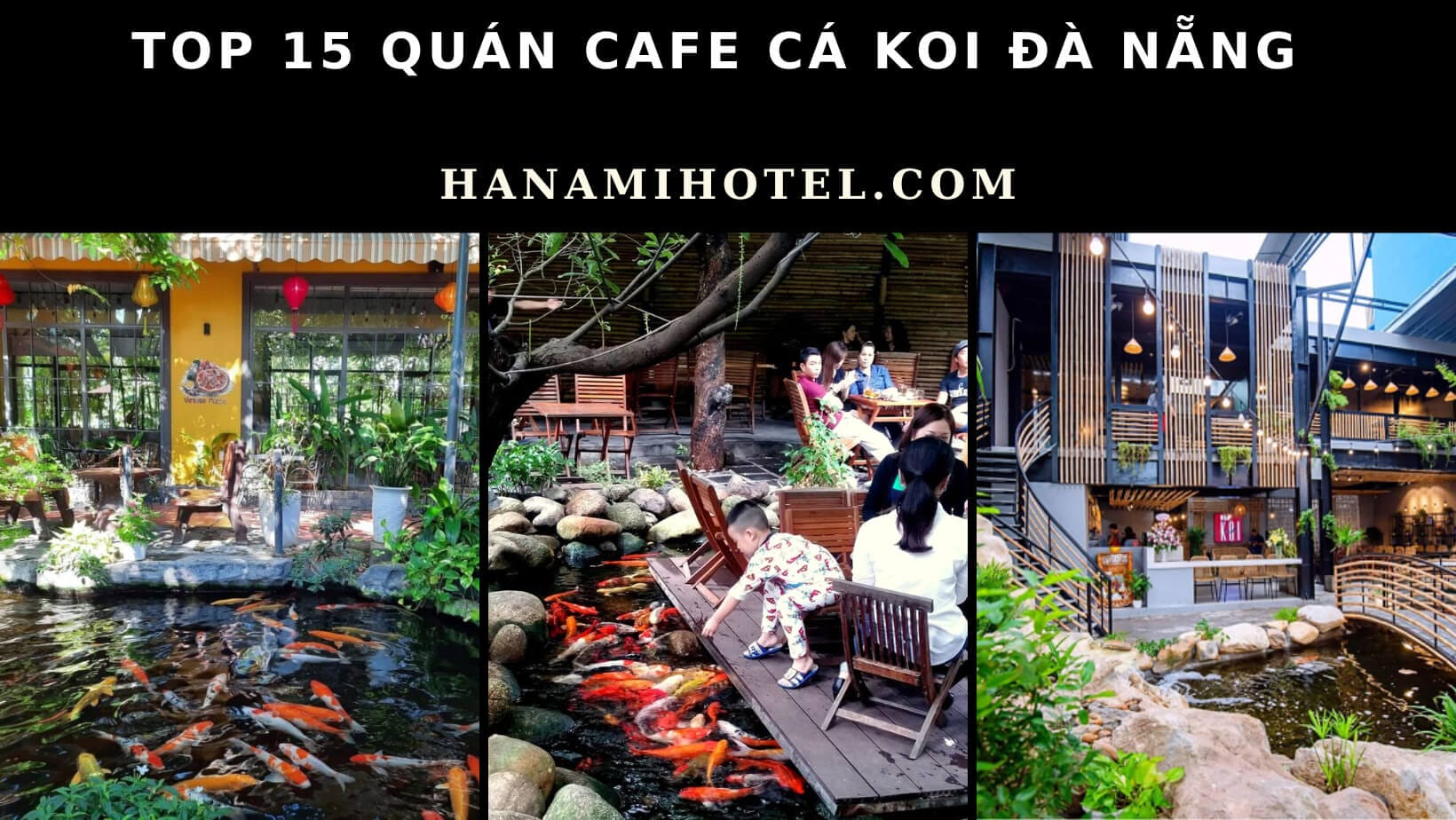 cafe cá Koi Đà Nẵng 