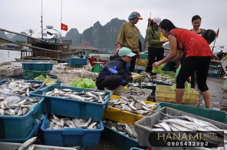 10 Khu chợ hải sản Đà Nẵng tươi ngon, giá rẻ 9 Chợ hải sản Đà Nẵng