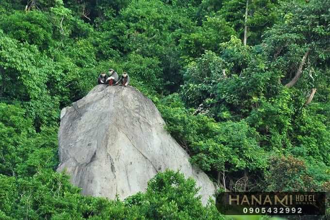 Đà Nẵng có đảo gì? Khám phá Top 15+ những hòn đảo đẹp nhất Đà Nẵng 3 Đà Nẵng có đảo gì ?