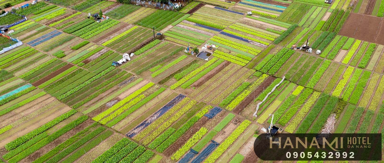 Kinh nghiệm du lịch Hội An từ A- Z mới nhất 3 Kinh nghiệm du lịch Hội An