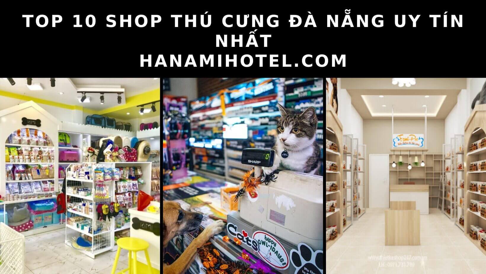 10 shop thú cưng Đà Nẵng uy tín nhất hiện nay 1 shop thú cưng đà nẵng