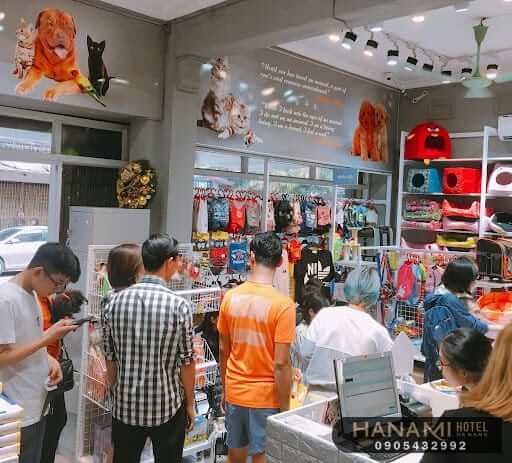 10 shop thú cưng Đà Nẵng uy tín nhất hiện nay 10 shop thú cưng đà nẵng