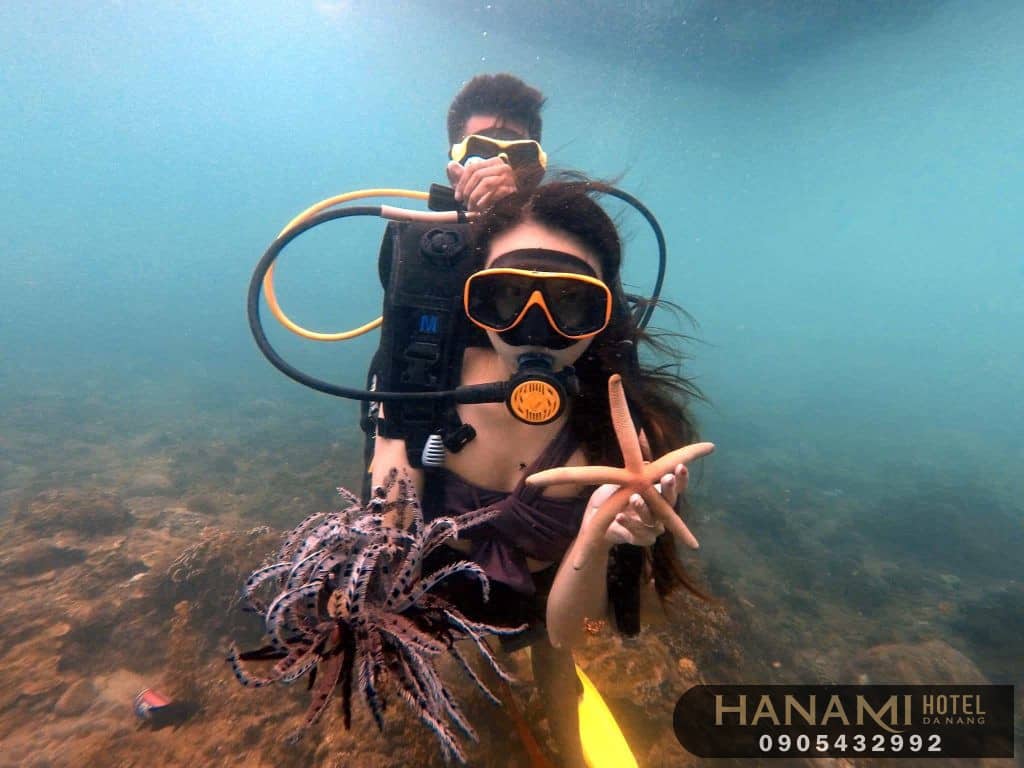 tour lặn ngắm san hô Sơn Trà