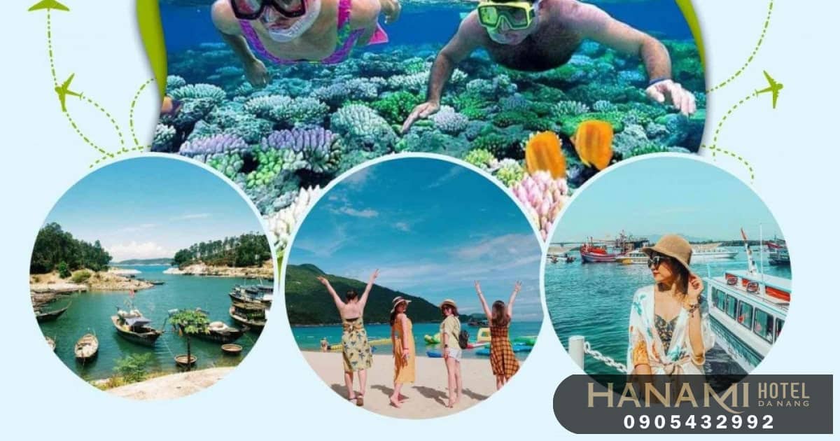 tour lặn ngắm san hô Sơn Trà