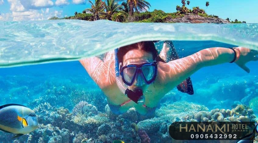 tour lặn ngắm san hô Sơn Trà