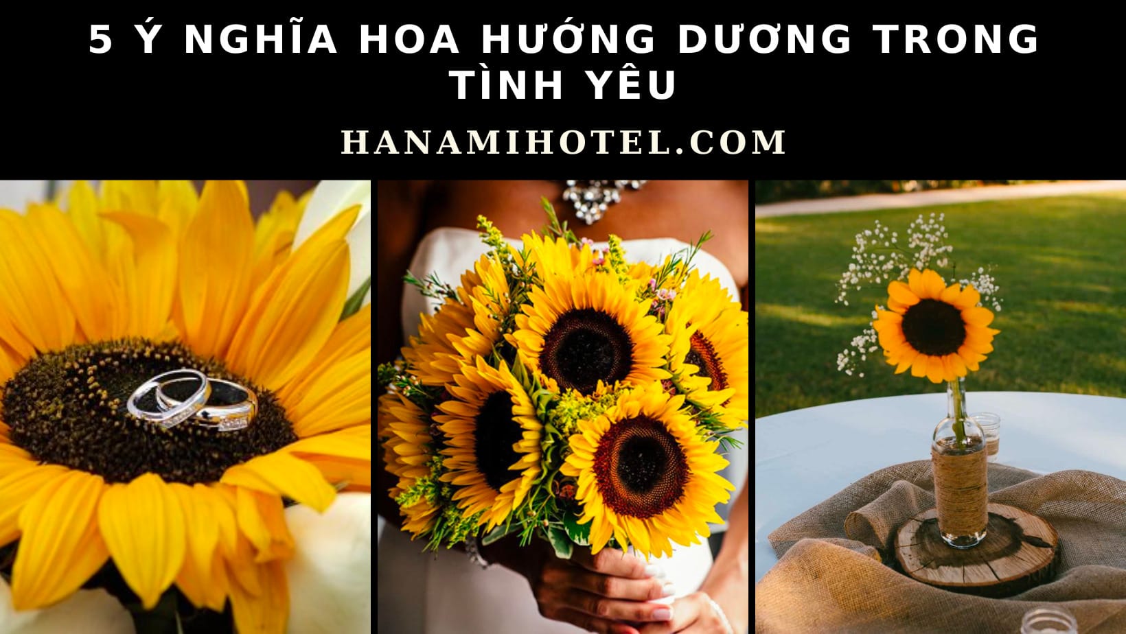 ý nghĩa hoa hướng dương trong tình yêu