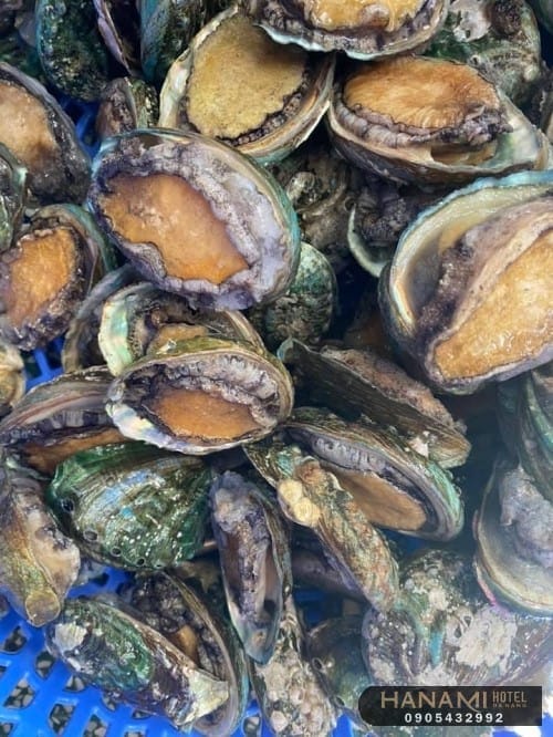 bán bào ngư Đà Nẵng 