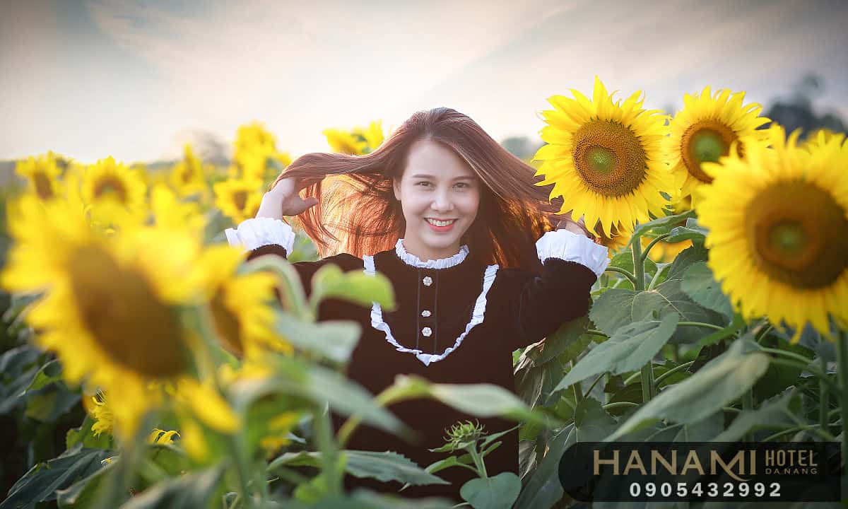 ý nghĩa hoa hướng dương trong tình yêu