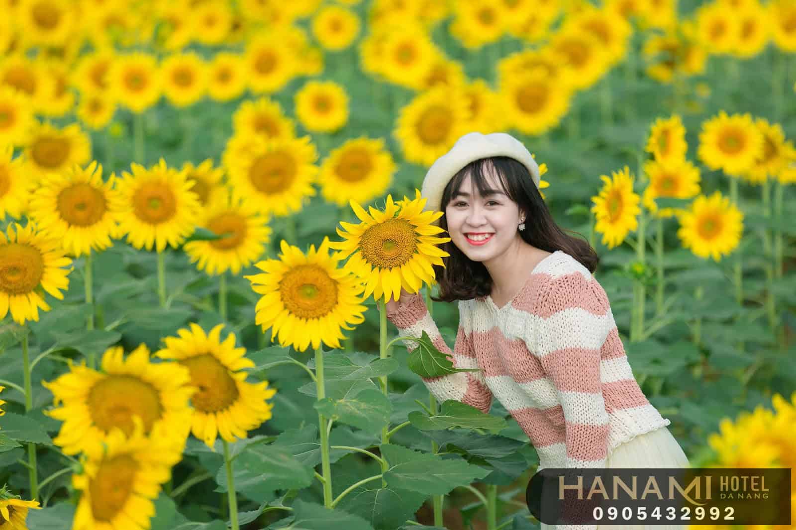 ý nghĩa hoa hướng dương trong tình yêu