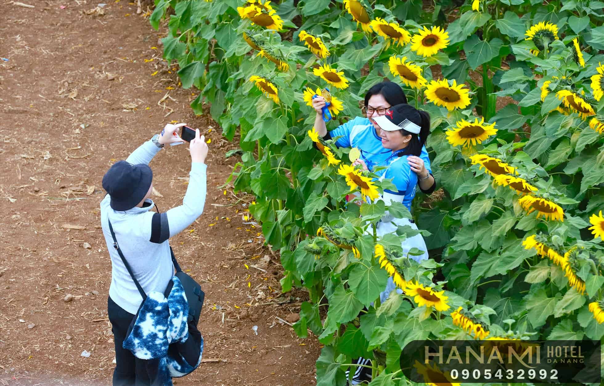 ý nghĩa hoa hướng dương trong tình yêu