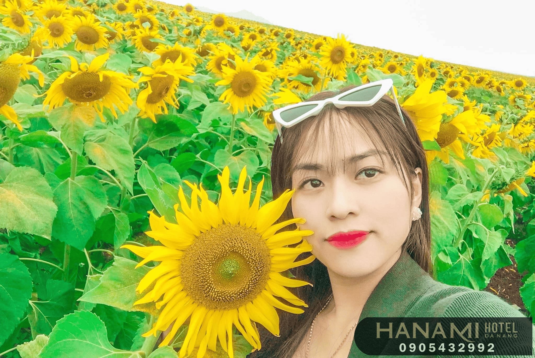 Địa điểm check-in hoa hướng dương đẹp nhất