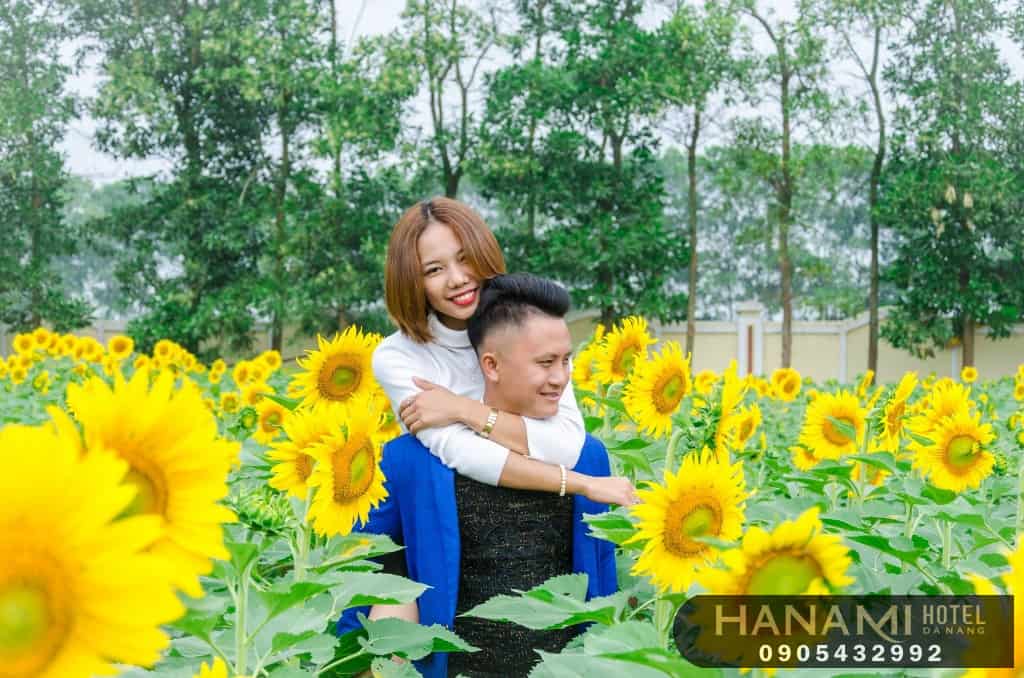 ý nghĩa hoa hướng dương trong tình yêu