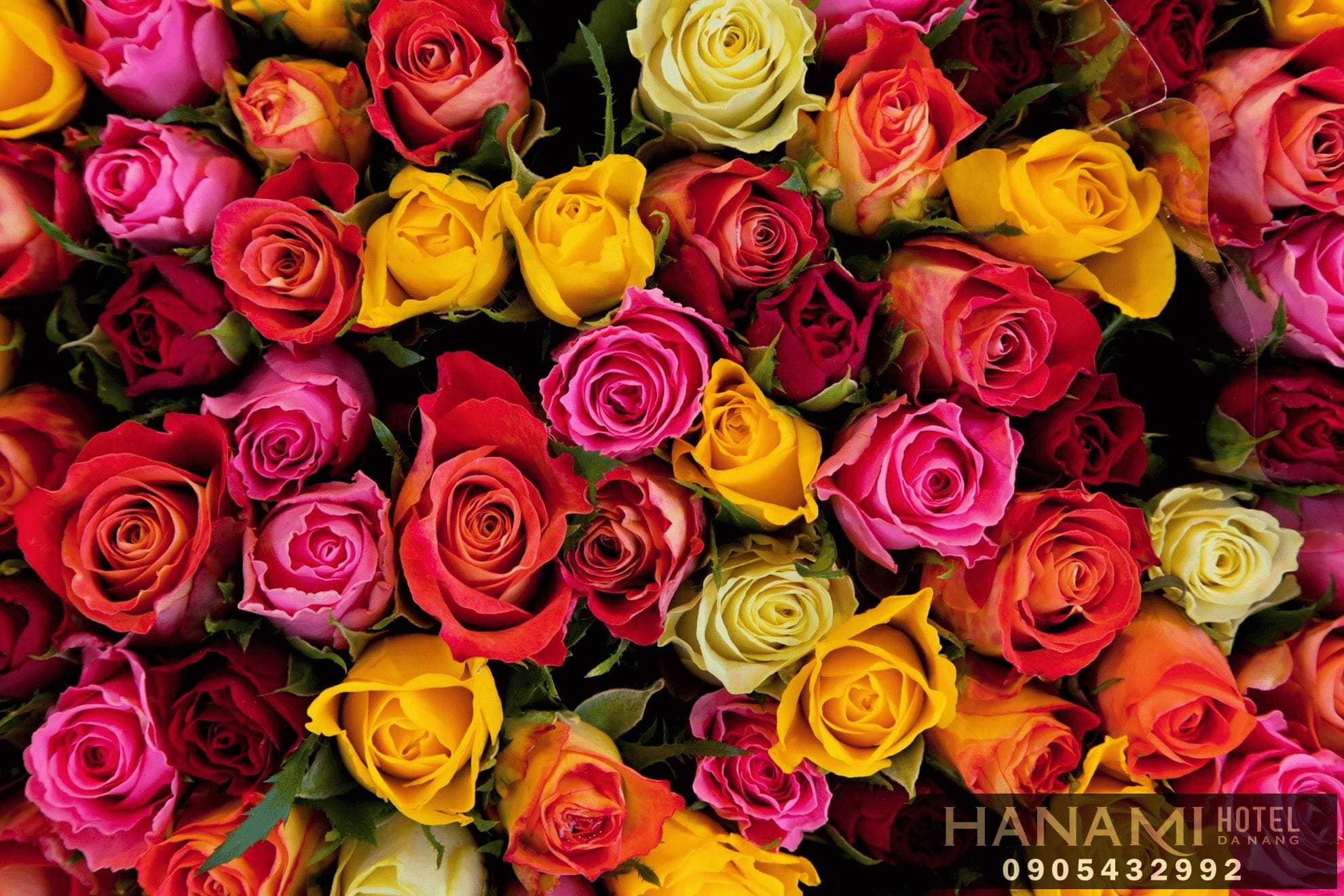 Bỏ túi 1 số ý nghĩa của các loài hoa trong tình yêu 2 ý nghĩa của các loài hoa trong tình yêu