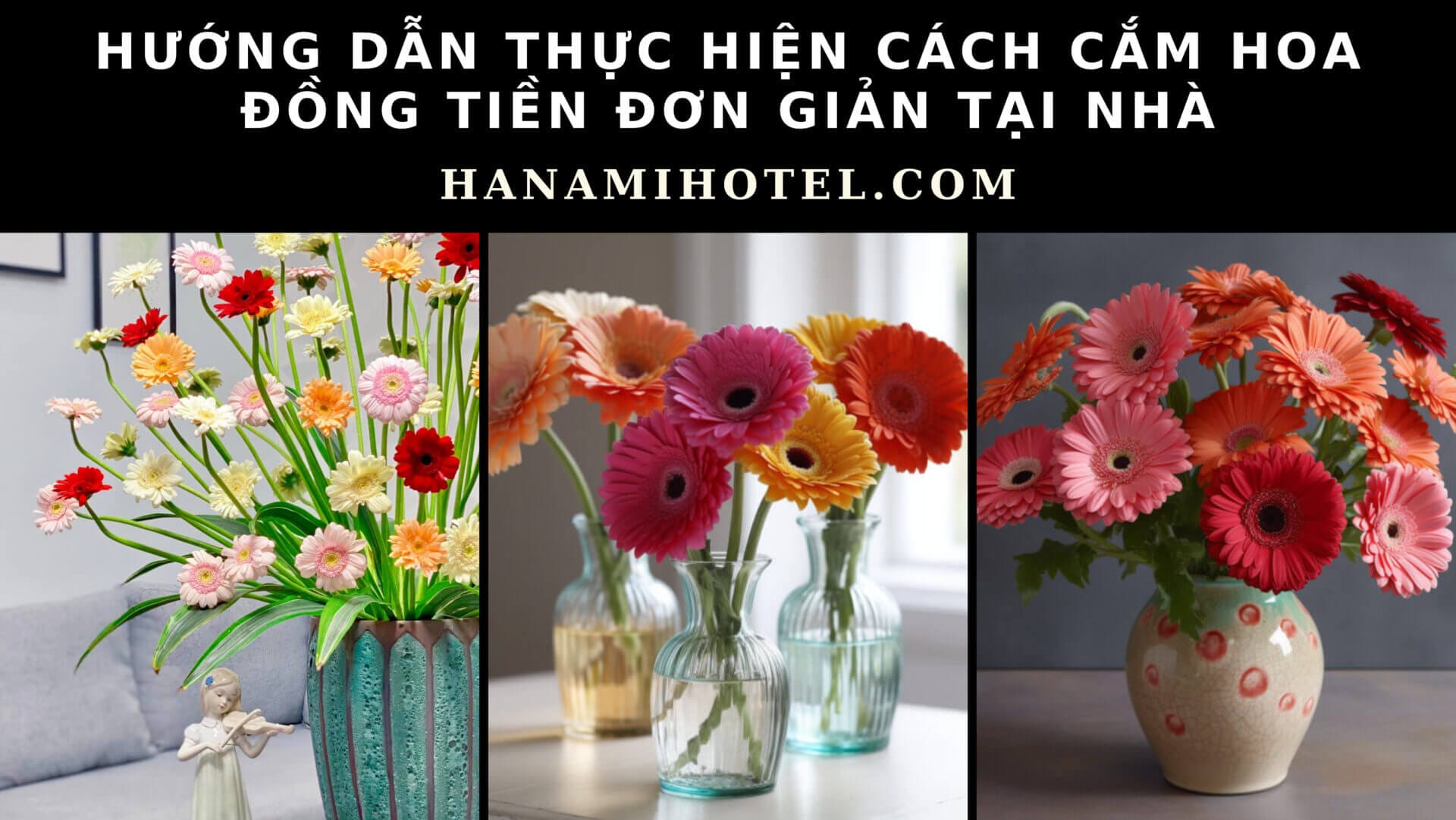 cách cắm hoa đồng tiền đơn giản