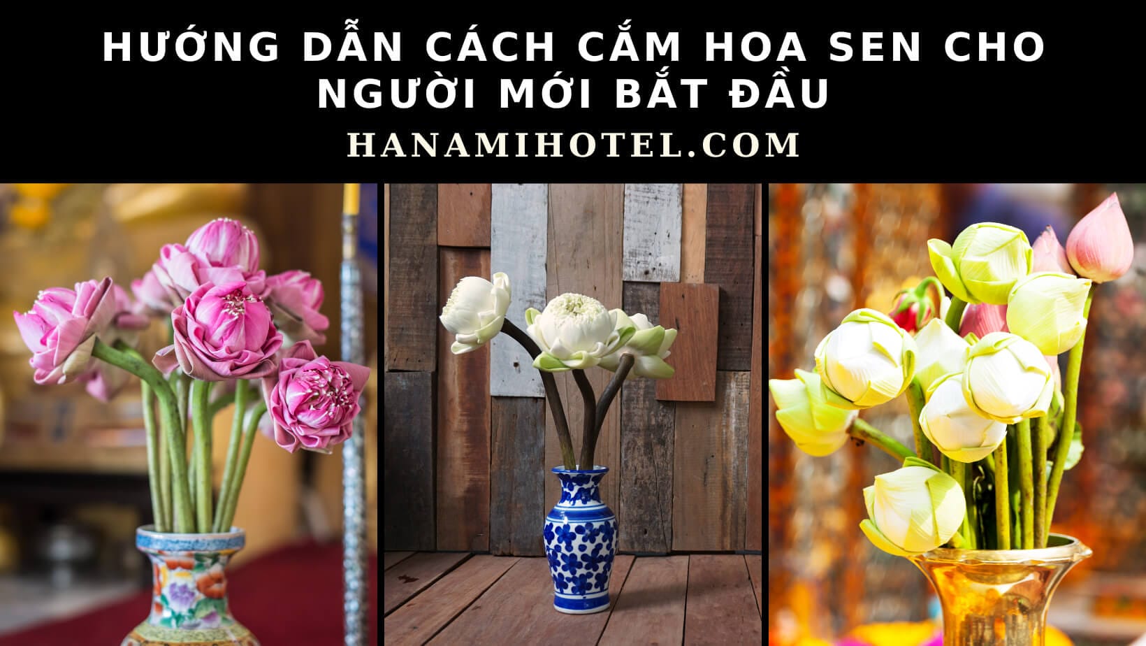 cách cắm hoa sen